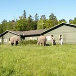 Bredängs Hostel